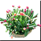 Корзина из 51 тюльпана